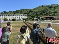 丰硕婴童产物供给